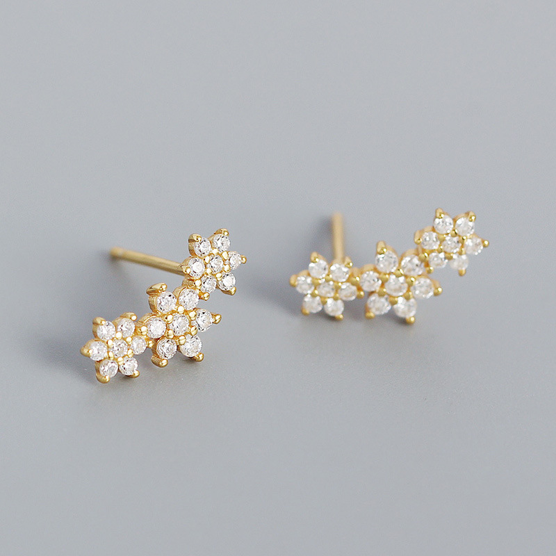 Atractivos elegantes espléndidos S925 plata pendientes