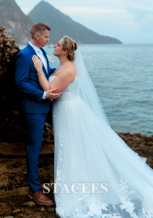 Classic A-line Embroidered Tulle Sweep Train Wedding Dress with